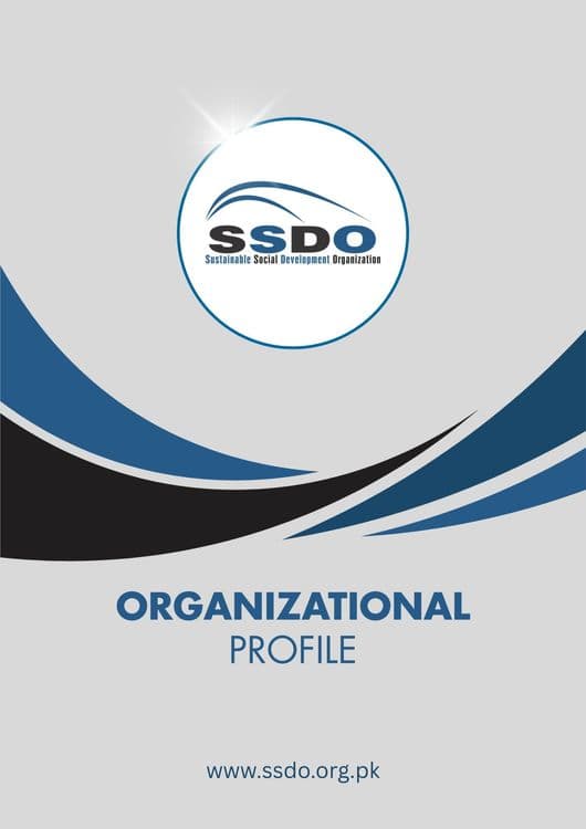 SSDO Profile